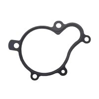 Hyundai Seasall pumpun tiiviste - pumpens packning - pumba tihend - water pump gasket